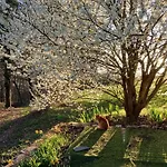 La Garnasette Bed and Breakfast