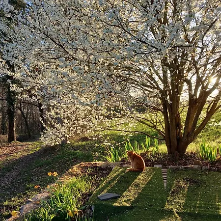 La Garnasette Beaulieu