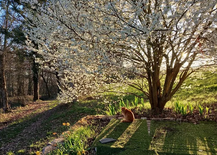 La Garnasette Panzió